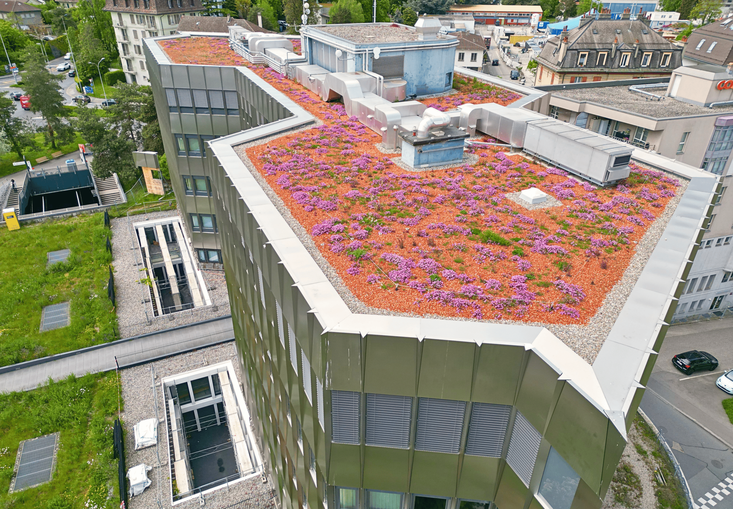 Toit végétal coloré sur un bâtiment moderne à Genève, Suisse.